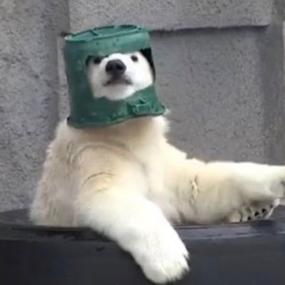 crug87's profile picture. yo