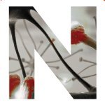 Emory Neuroethics Profile