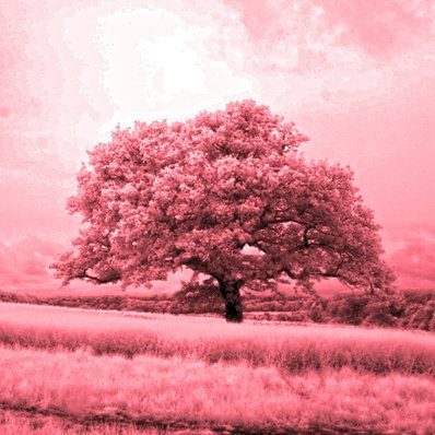 vinceherbert's profile picture. Ex-Head of Lighting at the RSC