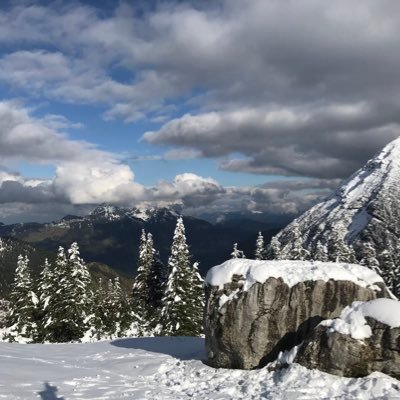 DorotheaKallen's profile picture. 