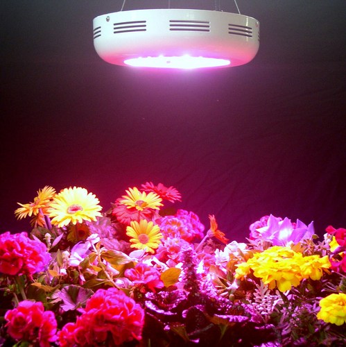 The LED Lighting Store at http://t.co/UubkBDElEH helps you grow into the future with solid state of the art lighting products. We stock LED lighting.