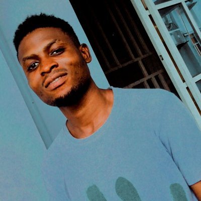 Tundayfocus's profile picture. Data Analyst| Economist