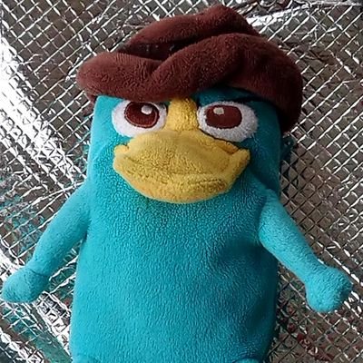 ✝Dragon☆Revolution 副社長 ✝Perry社長の弟 ✝ホラー大好物✝