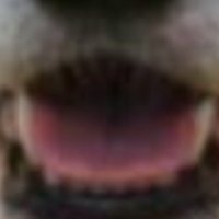 Kenet (@kenneth49740588) 's Twitter Profile