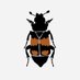 De Unge Biodiversitetsambassadører (@dubdanmark) Twitter profile photo De Unge Biodiversitetsambassadører (@dubdanmark) Twitter profile photo