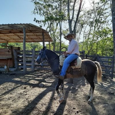 silviofarimarti's profile picture. El Campo es mi Lugar