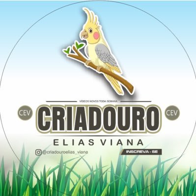 ElliasViana's profile picture. 