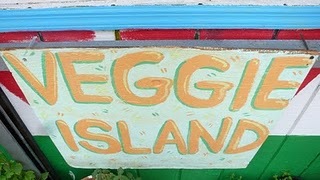 Veggie Island is an organic market located in Rockaway Beach NY, We specialize in local, handmade, organic goods.