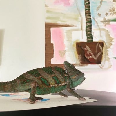 flourishcoop's profile picture. 