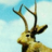 ryanmoeckly's profile image