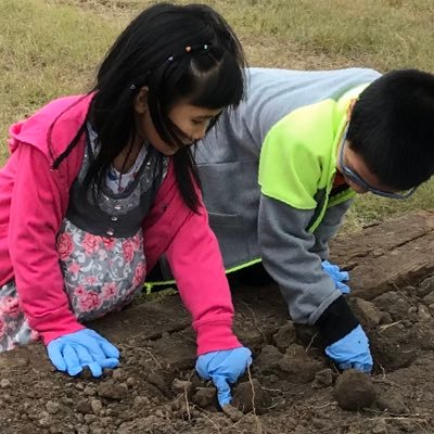 Layla182153535's profile picture. 