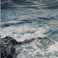 Amani1150 (@amani11500) 's Twitter Profile