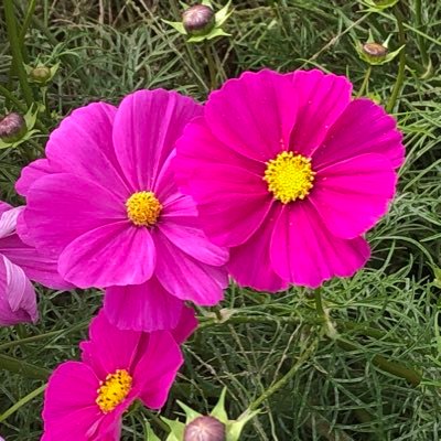 7nohrObWFvs87qp's profile picture. 山とか釣りとか、日々の中で思いついたまま、ぶつぶつ呟いています。 写真は、気ままにスマホ撮り。最近、何故か、いいねが消えてることあります。基本DMは返しません🙇‍♀️