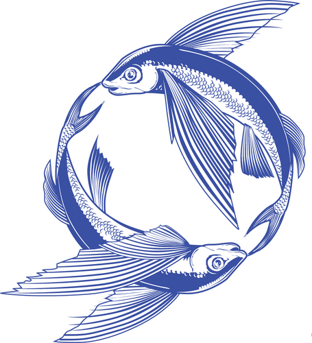 Blue Ocean Sciences 
The BOS mission is to address the needs of the global community for accurate scientific research and media on oceanic health.
