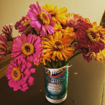 greddles's profile picture. “you know the worse thing about her? she works for the library” | my employer is not responsible for the dumb things i write--my mom is. 🍟🐶🏕📚 (she/her)