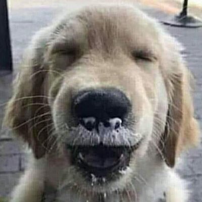 604_789's profile picture. 