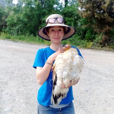 PhD student at University of Barcelona
Equip de Biolgìa de la Conservación
Spatial and movement ecology//Vultures//GPS tracking