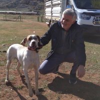 Cengiz ÖZCAN 🇹🇷 (@cngzozcan) 's Twitter Profile