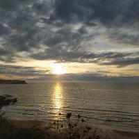josutiminsk (@josutiminsk) 's Twitter Profile