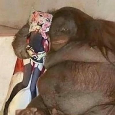 Securit18693785's profile picture. Security Camera