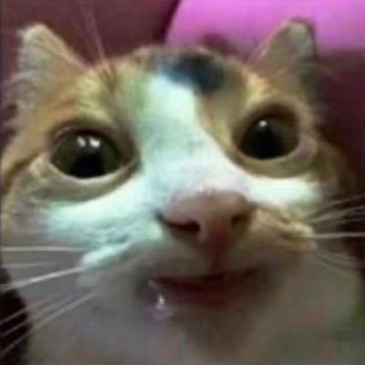 uitvaluitval's profile picture. leven