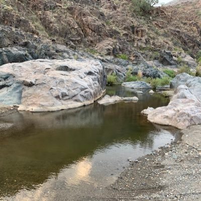 RaedAlg09681159's profile picture. سبحان الله وبحمده سبحان الله العظيم