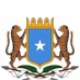 Somali Embassy-Ethiopia🇸🇴 (@somaliainethio) Twitter profile photo
