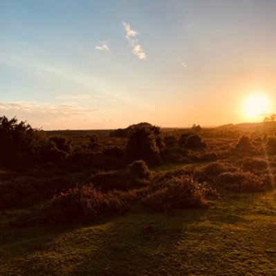 sahpub's profile picture. sceptical of anything not based on primary data,old fashioned science and mathematics( you know the sort where work was done not modelling )