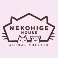 動物保護施設🏠ねこひげハウス😺次回譲渡会6/16(日)@島忠大谷田店(@nekohigehouse) 's Twitter Profile Photo