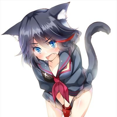 Stefano63496137's profile picture. 