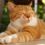 DavidMa33328942's profile picture. No life without Jesus