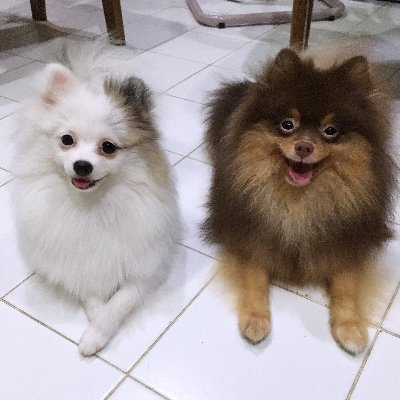 Nn_Nessa's profile picture. ►►Ya◄◄ ¦¦ DSR#26-608 ¦¦ KMITL ED.English#12 ¦¦ ABtype ¦¦ IG : nn_nessa ¦¦ #beenamthip #blackpink #izone #patchaAF2 #wonderingpango #บีคริส  ¦¦