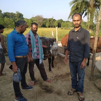 anil_yogy's profile picture. 