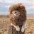 9Foxesのアイコン