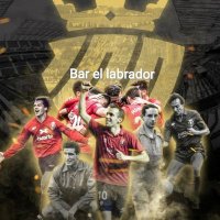 bar el labrador (@barellabrador1) 's Twitter Profile