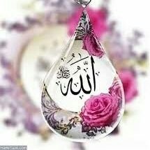 SGolchinan's profile picture. ‏‏‏اللهی و ربی من لی غیرک