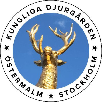 Kungliga Djurgården - en del av Östermalm @ostermalmcom 
https://t.co/o281v9eQBo
https://t.co/mMY7snpyns