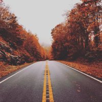 Jamey Prickett (@jameyprickett) 's Twitter Profile Photo Jamey Prickett (@jameyprickett) 's Twitter Profile Photo