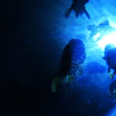 もう社会人/奇愛/連盟/Re: magic2018/マスク(๑´ㅂ`๑)パクパク/とらんぷのしっぽ。