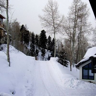 tonysberumens's profile picture. 