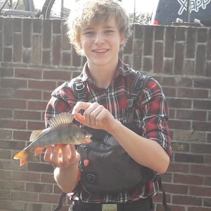 daan_polling's profile picture. 