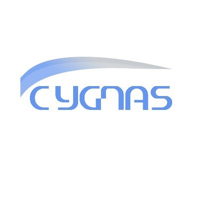 Cygnas Solutions are a team of Analysis and Design Engineers, Headquartered in Aberdeen and offices in London.