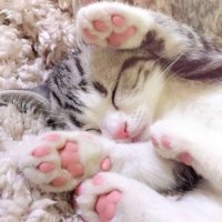 aki (@yesyesungsjlove) Twitter profile photo
