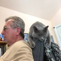 Bill Aleshire (@aleshirelaw) 's Twitter Profile