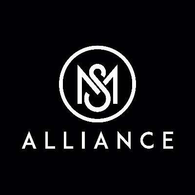 MandSAlliance's profile picture. M and S Alliance Security Consultants