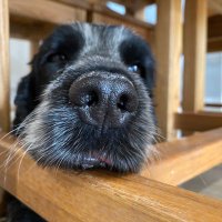 Dr.pepper (@peppermcc) 's Twitter Profile