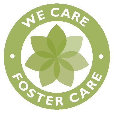 We help foster children in and around Metropolitan Detroit to thrive by providing the things our foster care system can't.