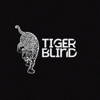 TigerBlind (@tigerblindsound) 's Twitter Profile