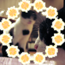 beeeさんのプロフィール画像