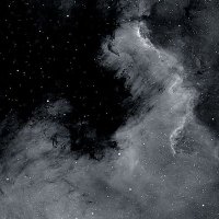 متجر🛍 (@binii7_) 's Twitter Profile